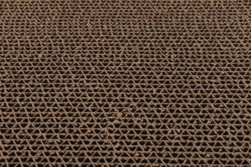 Beeztees Krabhelling Minus One 4 Beeztees Krabhelling Minus One - Afbeelding 2