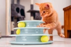 Beeztees Kitten Speeltoren Bo Mint -Beeztees 0440416 sfeer1