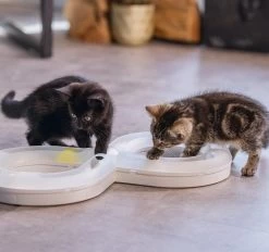 Beeztees Kittenspeelgoed Speelrail Agty -Beeztees 0440418 sfeer1