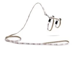 Beeztees Kittentuig Joy -Beeztees 0730405