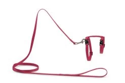 Beeztees Kattentuig Uni Met Lijn 18 Beeztees Kattentuig Uni Met Lijn -Beeztees 0730480