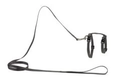 Beeztees Kattentuig Uni Met Lijn 28 Beeztees Kattentuig Uni Met Lijn -Beeztees 0730482