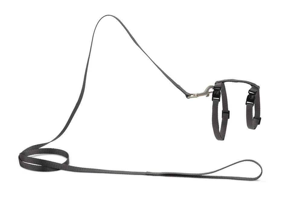 Beeztees Kattentuig Uni Met Lijn 15 Beeztees Kattentuig Uni Met Lijn - Afbeelding 13