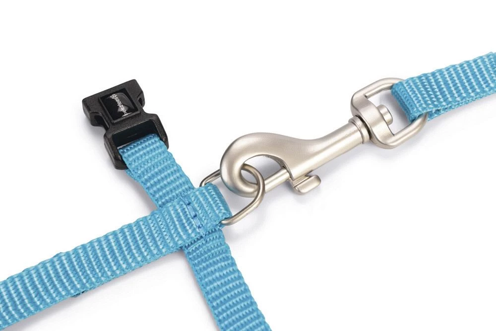 Beeztees Kattentuig Uni Met Lijn 10 Beeztees Kattentuig Uni Met Lijn - Afbeelding 8