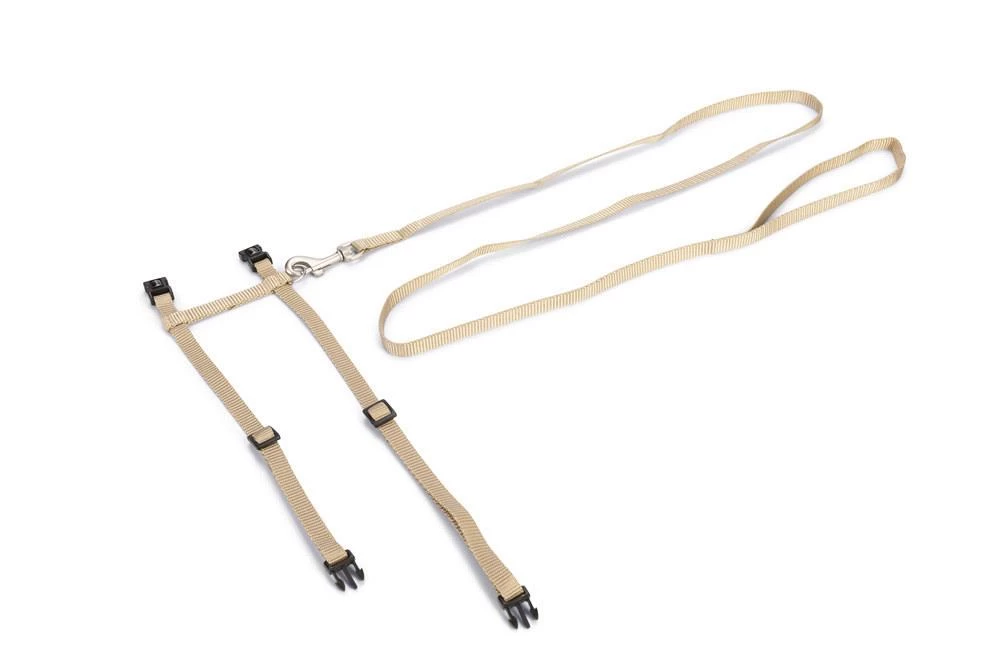 Beeztees Kattentuig Uni Met Lijn 11 Beeztees Kattentuig Uni Met Lijn - Afbeelding 9