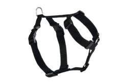 Beeztees Nylon Autogordel 50-75x25 Zwart 50-75x25 Cm