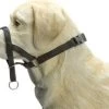 Beeztees Hondenhalsband Dog Control Zwart S