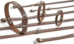 Beeztees Hondenhalsband L Bruin 42 Cm