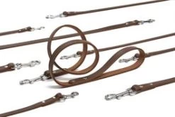 Beeztees Hondenriem Geniet Bruin 130 X 1,6 Cm