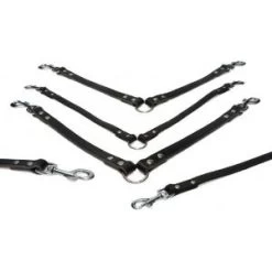 Beeztees Lederen Koppellijn Voor 2 Honden Zwart - 30 Cm X 12 Mm -Beeztees 8712695052968 ipts koppel 2 hond zwt 30x12 0 300x300 3