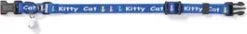 Beeztees Kittenhalsband Kitty Cat L Blauw 23 Cm