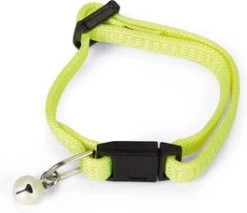 Beeztees Kittenhalsband Geel 16-23 X 0,8 Cm