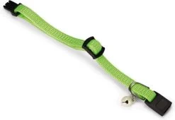 Beeztees Kittenhalsband Groen 16-23 Cm 5 Beeztees Kittenhalsband Groen 16-23 Cm -Beeztees 8712695114376 2