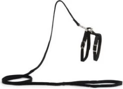 Beeztees Kattentuigje Zwart 130 X 1 Cm