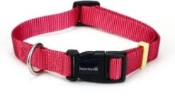 Beeztees Hondenhalsband Uni Roze 26-40 Cm X 15 Mm