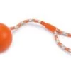 Beeztees Hondenspeelgoed Bal Met Koord Oranje 30 Cm -Beeztees 8712695150800 1