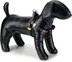 Beeztees Hondentuig Mucadi Multi 35-60 X 1,5 Cm