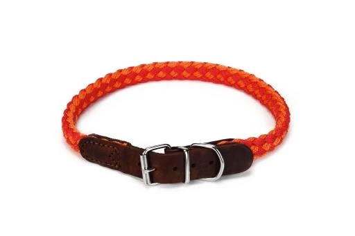 Beeztees Halsband Voor Hond Korda Nylon Rood / Oranje 65x2 Cm 4 Beeztees Halsband Voor Hond Korda Nylon Rood / Oranje 65x2 Cm - Afbeelding 2