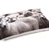 Beeztees Hondenkussen Lounge Sjiep Beige 100x70 Cm -Beeztees 8712695161226 feed