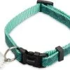 Beeztees Kattenhalsband Geo Groen 20-30 X 1 Cm -Beeztees 8712695171744 1