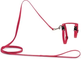 Beeztees Kattentuigje Uni Roze 130 X 1 Cm 3 Beeztees Kattentuigje Uni Roze 130 X 1 Cm