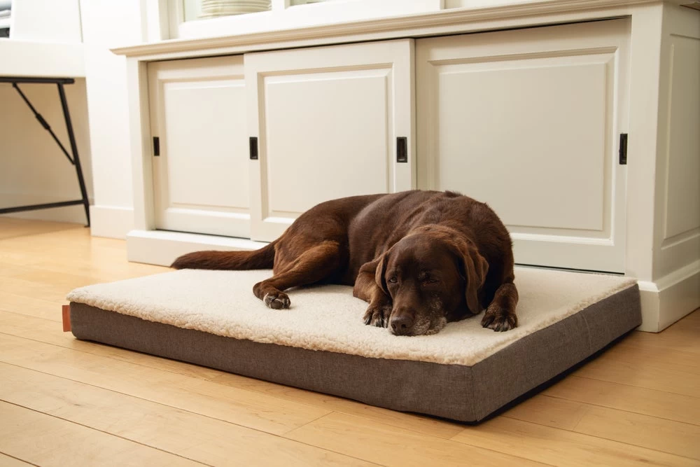 Beeztees Hondenkussen Zira Beige 100 X 70 Cm 4 Beeztees Hondenkussen Zira Beige 100 X 70 Cm - Afbeelding 2