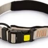 Beeztees Hondenhalsband Parinca Premium Grijs 45-50 X 2,5 Cm -Beeztees 8712695183792