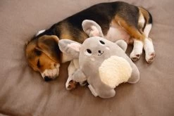 Beeztees Hondenspeelgoed Pluche Konijn Grijs 20 X 7,5 X 25 Cm 5 Beeztees Hondenspeelgoed Pluche Konijn Grijs 20 X 7,5 X 25 Cm -Beeztees 8712695184737 1