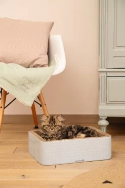 Beeztees Krabmeubel Kero Blauw 40 X 31 X 12 Cm -Beeztees 8712695185727 5