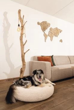 Beeztees Orthopedische Hondenmand Jaxx Beige D 60 H 25 Cm 9 Beeztees Orthopedische Hondenmand Jaxx Beige D 60 H 25 Cm -Beeztees 8712695195818 3