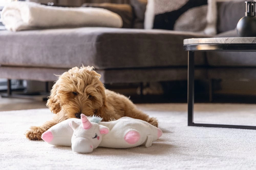 Beeztees Hondenspeelgoed Warmteknuffel Monster Wit 33 X 12 X 34 Cm 4 Beeztees Hondenspeelgoed Warmteknuffel Monster Wit 33 X 12 X 34 Cm - Afbeelding 2