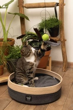 Beeztees Kattenmand Minus One Xana Grijs/bruin D 45 H 14 Cm -Beeztees 8712695197188 8