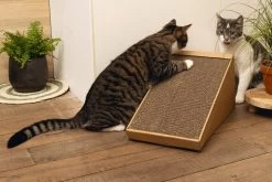 Beeztees Krabplank Minus One Bruin 49 X 25 X 24,5 Cm 13 Beeztees Krabplank Minus One Bruin 49 X 25 X 24,5 Cm -Beeztees 8712695197218 5