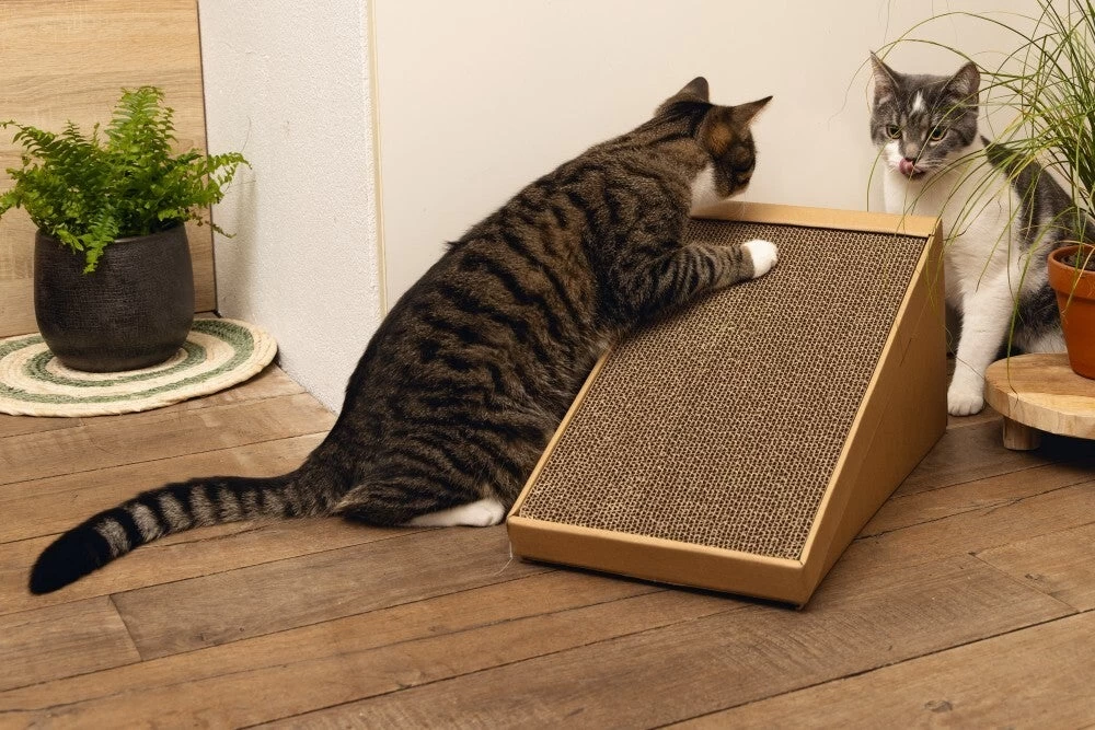 Beeztees Krabplank Minus One Bruin 49 X 25 X 24,5 Cm 7 Beeztees Krabplank Minus One Bruin 49 X 25 X 24,5 Cm - Afbeelding 5