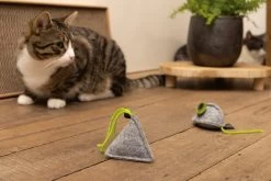 Beeztees Kattenspeelgoed Minus One Muis Luca 8 X 5 X 4 Cm 2 Stuks 9 Beeztees Kattenspeelgoed Minus One Muis Luca 8 X 5 X 4 Cm 2 Stuks -Beeztees 8712695197232 3