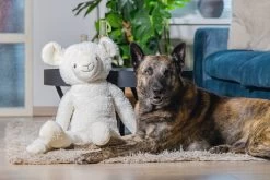 Beeztees Hondenspeelgoed Knuffel Schaap Jessy 39 X 20,5 X 80 Cm XL -Beeztees 8712695198383 1