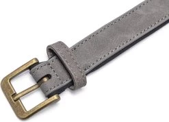 Beeztees Hondenhalsband Balacron Ax Grijs 43-53 X 2,5 Cm -Beeztees 8712695198710 4