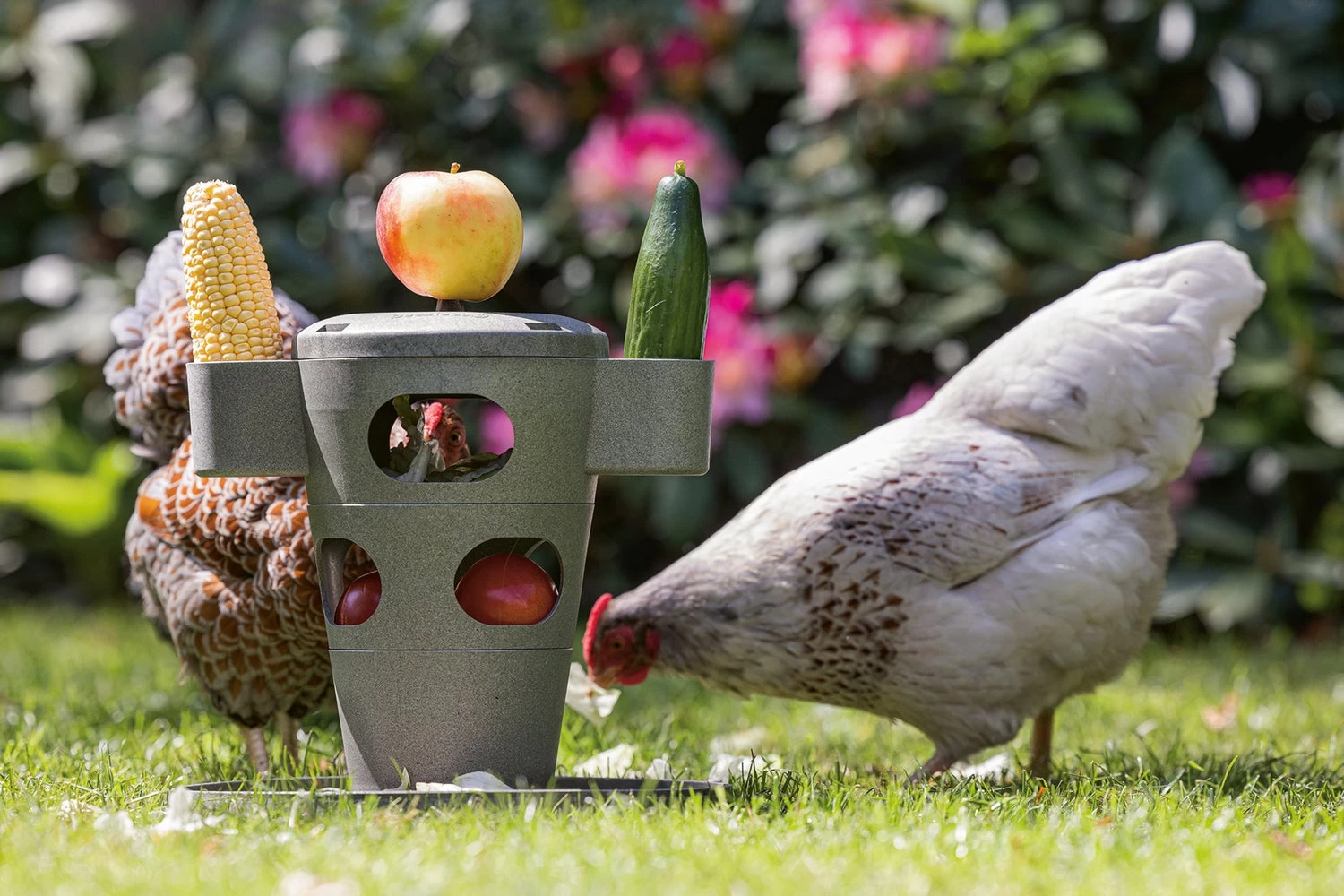 Beeztees Kippenvoerbak Snacktoren Grijs D 30 H 35 Cm 10 Beeztees Kippenvoerbak Snacktoren Grijs D 30 H 35 Cm - Afbeelding 8