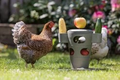 Beeztees Kippenvoerbak Snacktoren Grijs D 30 H 35 Cm 20 Beeztees Kippenvoerbak Snacktoren Grijs D 30 H 35 Cm -Beeztees 8712695201328 8