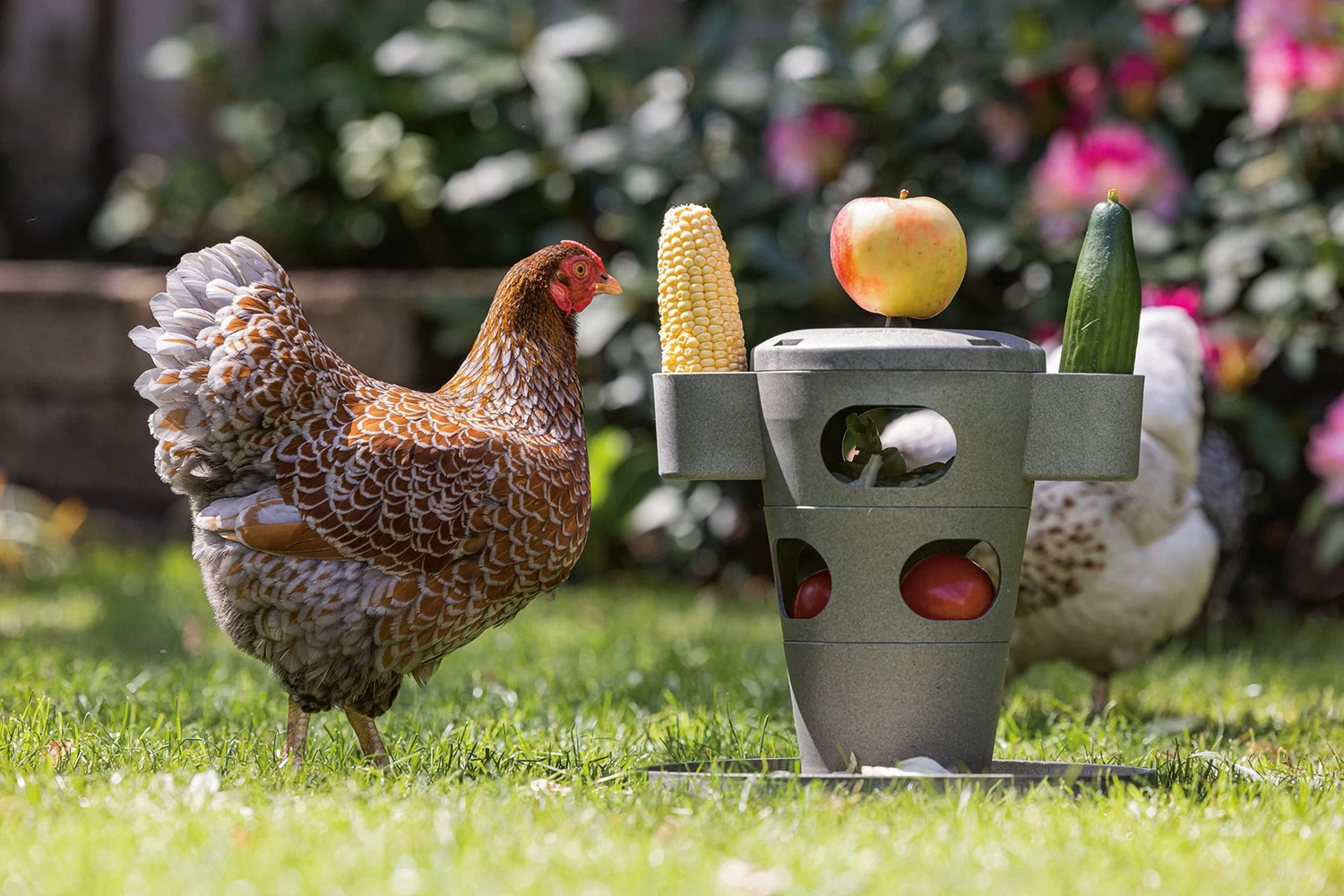 Beeztees Kippenvoerbak Snacktoren Grijs D 30 H 35 Cm 11 Beeztees Kippenvoerbak Snacktoren Grijs D 30 H 35 Cm - Afbeelding 9