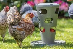 Beeztees Kippenvoerbak Voertoren Grijs D 30 H 37 Cm 20 Beeztees Kippenvoerbak Voertoren Grijs D 30 H 37 Cm -Beeztees 8712695201335 7