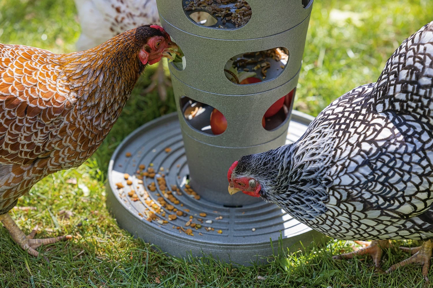 Beeztees Kippenvoerbak Voertoren Grijs D 30 H 37 Cm 11 Beeztees Kippenvoerbak Voertoren Grijs D 30 H 37 Cm - Afbeelding 9