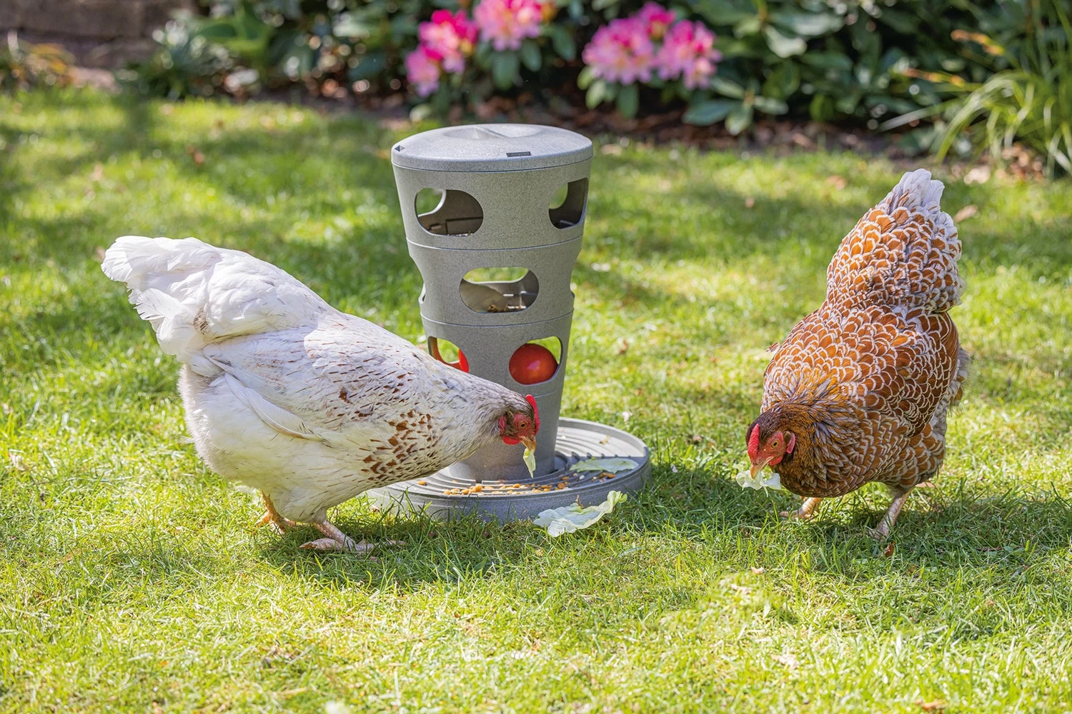 Beeztees Kippenvoerbak Voertoren Grijs D 30 H 37 Cm 12 Beeztees Kippenvoerbak Voertoren Grijs D 30 H 37 Cm - Afbeelding 10