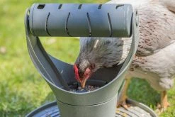 Beeztees Kippenvoerbak Speel- En Snacktoren Grijs D 30 H 31 Cm 33 Beeztees Kippenvoerbak Speel- En Snacktoren Grijs D 30 H 31 Cm -Beeztees 8712695201342 13