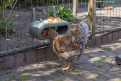 Beeztees Kippenvoerbak Grijs 30 X 14 X 13 Cm -Beeztees 8712695201359 7