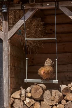 Beeztees Speelschommel Kippen Grijs 40 X 5 X 30 Cm -Beeztees 8712695201373 8