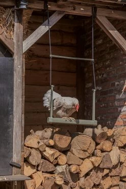 Beeztees Speelschommel Kippen Grijs 40 X 5 X 30 Cm -Beeztees 8712695201373 9