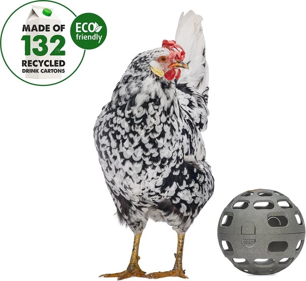 Beeztees Kippenvoerbak Speel Snackbal Grijs D 15 H 15 Cm 4 Beeztees Kippenvoerbak Speel Snackbal Grijs D 15 H 15 Cm - Afbeelding 2