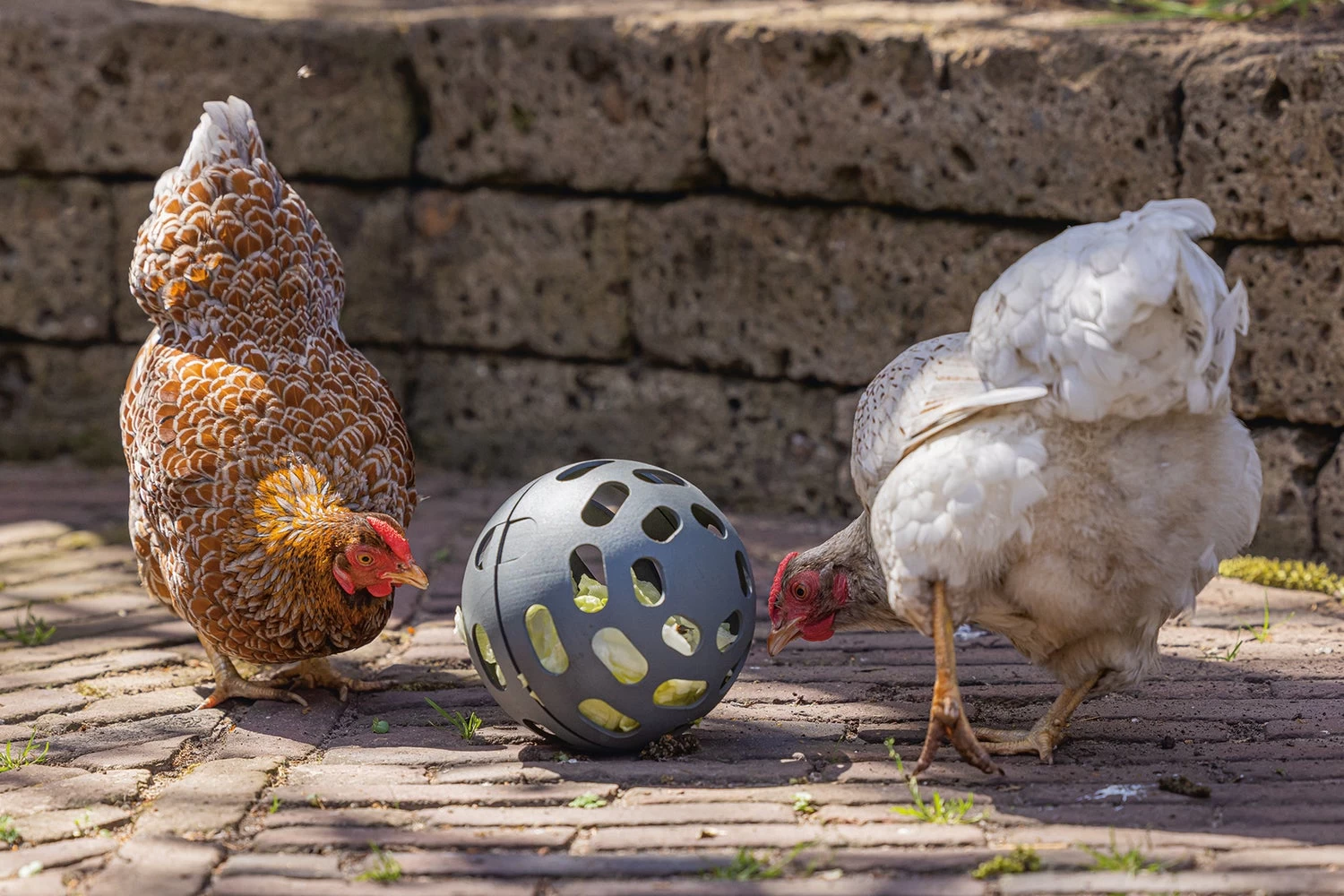 Beeztees Kippenvoerbak Speel Snackbal Grijs D 15 H 15 Cm 9 Beeztees Kippenvoerbak Speel Snackbal Grijs D 15 H 15 Cm - Afbeelding 7