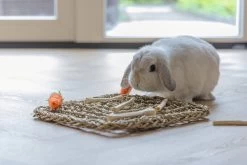 Beeztees Speelmat 30,5 X 30,5 X 8 Cm -Beeztees 8712695202479 5